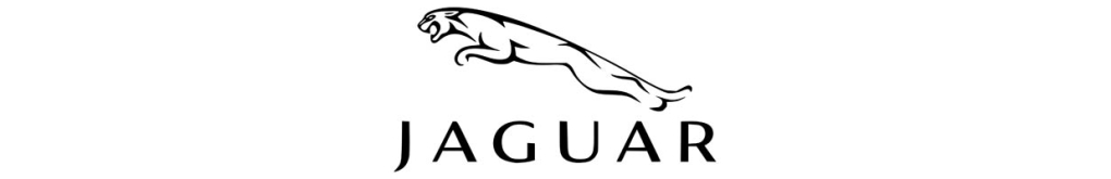 Męskie okulary Jaguar